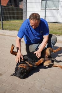 Chef des Lohnbetriebs Bohmann streichelt einen entspannten Hund, der auf dem Rücken liegt.